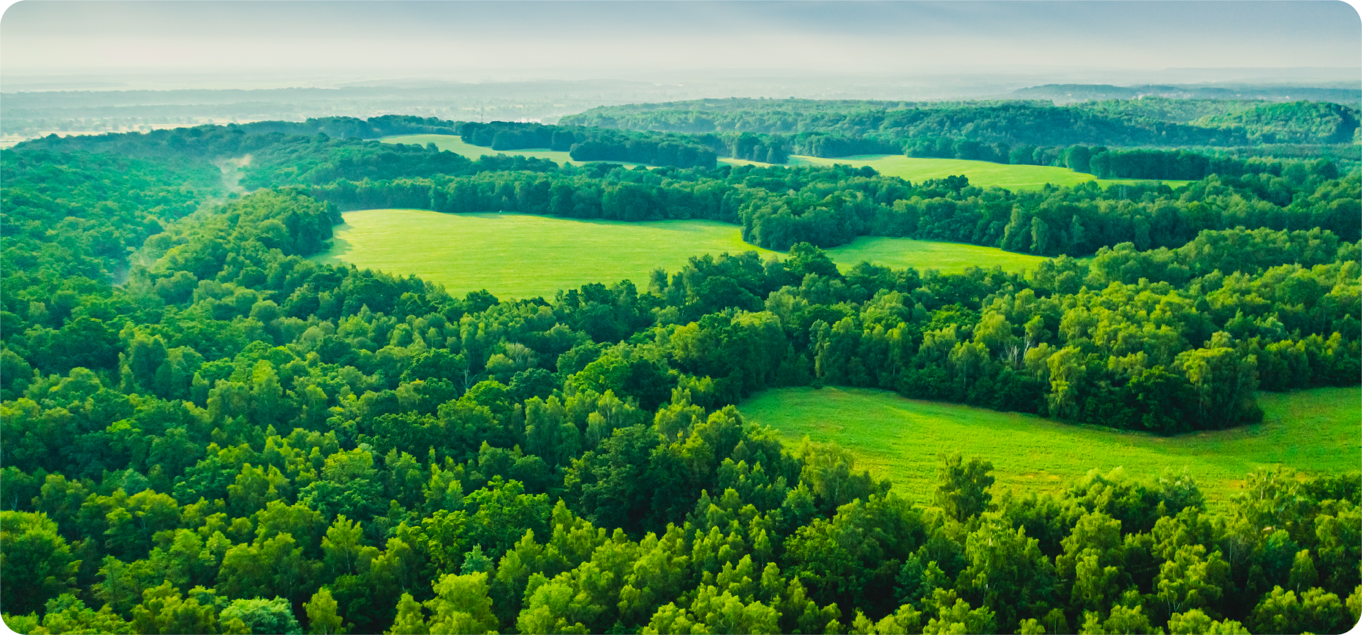 關於我們 關於我們
