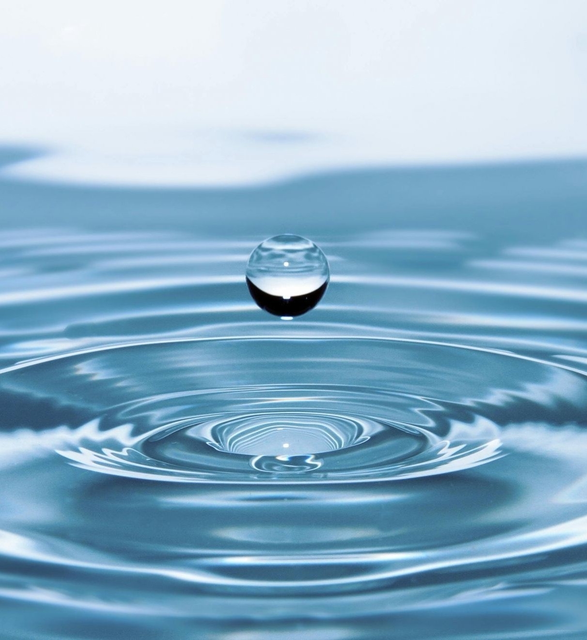 Antunes Drinking Water Purification Filter