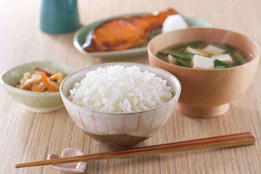 HATTORI 瓦斯自動煮飯機 HATTORI 瓦斯自動煮飯機