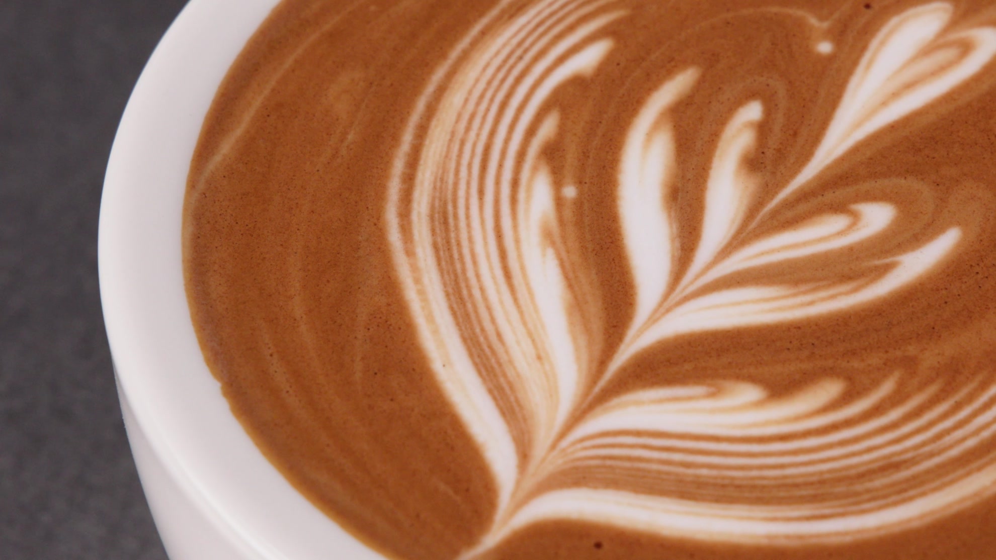 Linkbar Single Touch Milk Under-Counter Milk-Foaming System Latte art made with Single Touch Milk foam