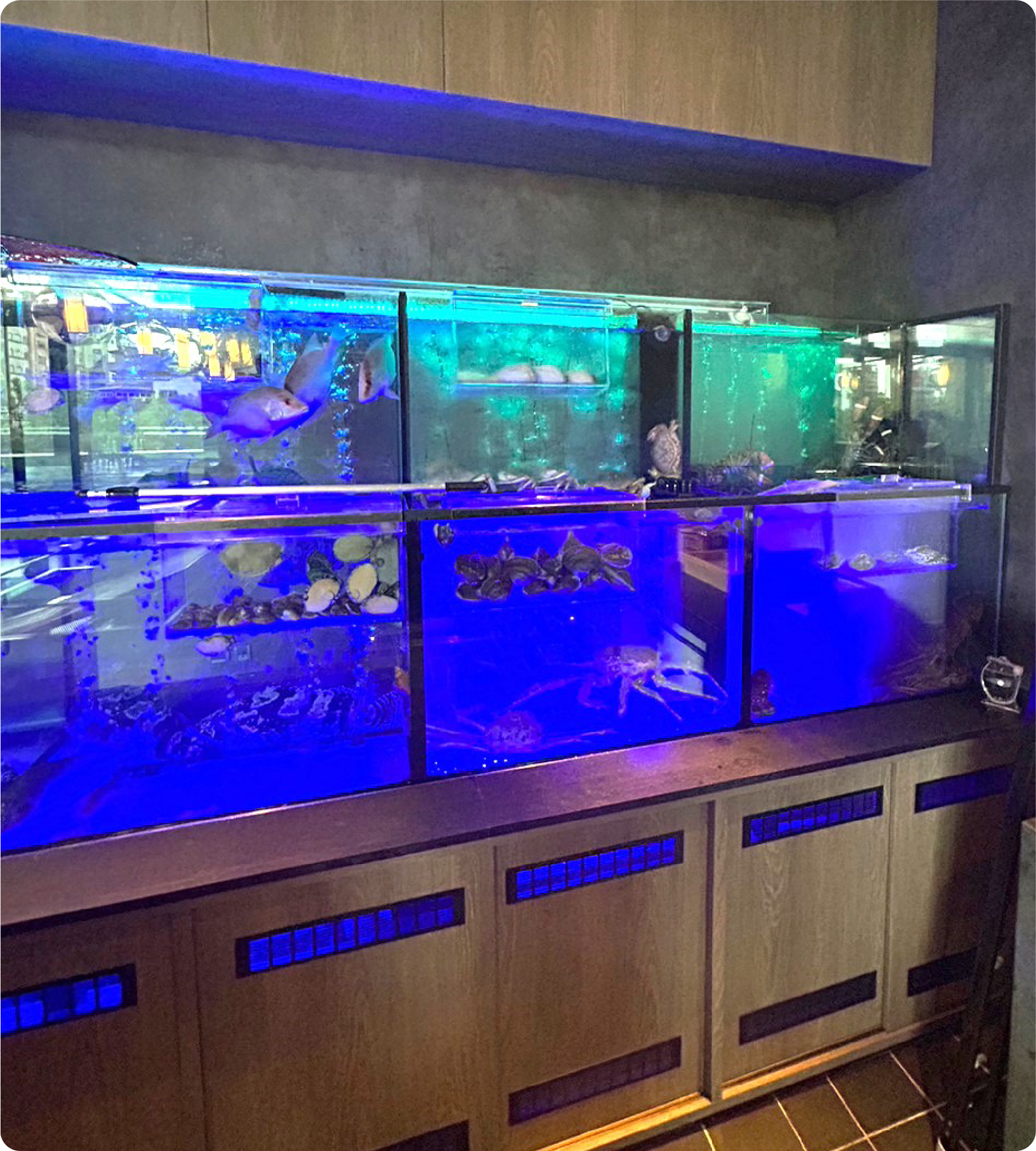 礁溪寒沐酒店 礁溪寒沐酒店